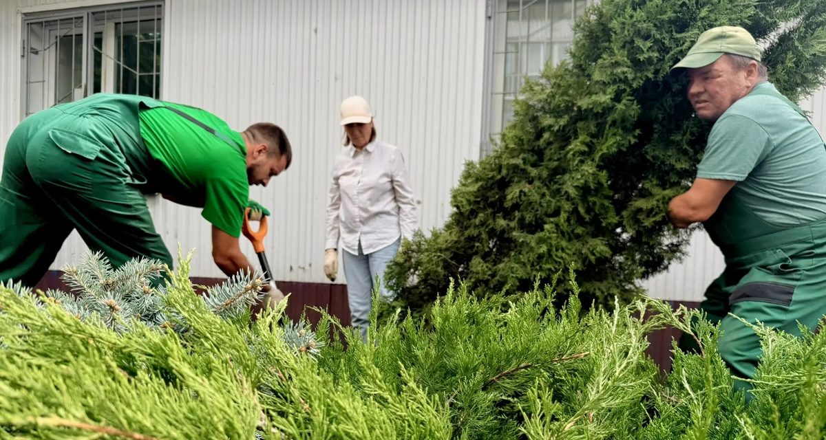 В городском парке Саратова началась высадка 100 новых деревьев